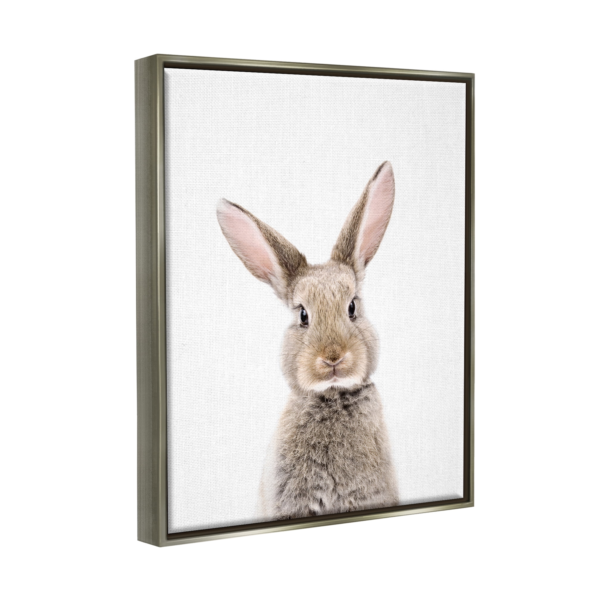 Stupell Industries Rabbit Face Portrait Animals & Insects Painting Gray Floater Framed Art Print Wall Art, 25 x 31