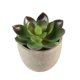 thumbnail image 5 of BESTYASH 5Ud Plantas Suculentas Falsas Para Decorar Y Mesas En Material Plástico, 5 of 6