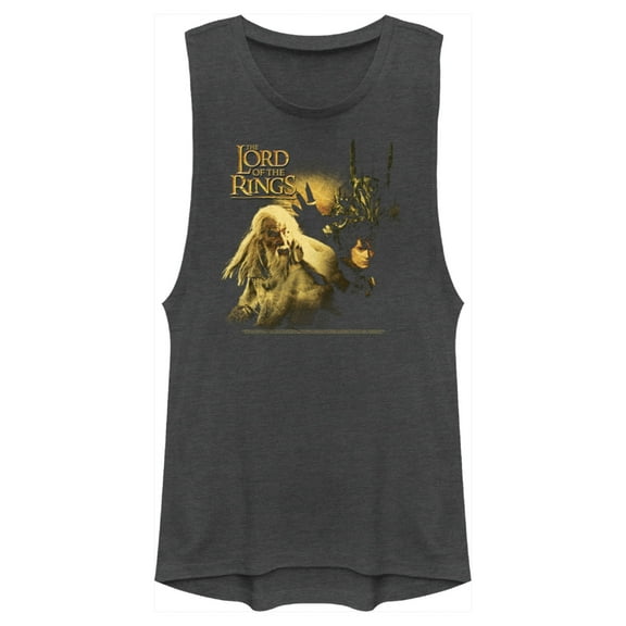 Junior's The Lord of the Rings Fellowship of the Ring Gandalf Frodo and Sauron Logo Festival Muscle Graphic Tee Charcoal Large