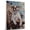 American Bulldog, variant on Kuvasz Dog Playing Harp Wall Stretched Canvas Size 8x12 – Kuvasz Canvas Art for Dog Lovers, Harp Canvas Wall Decor