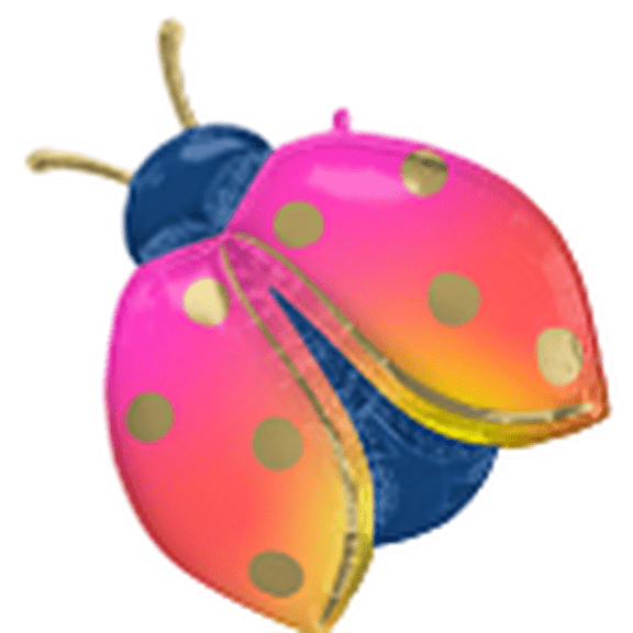 LRG SHP COLORFUL LADYBUG