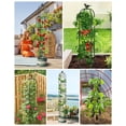 thumbnail image 4 of 2 Pcs Garden Trellis for Climbing Plants, 6.2 Ft Rustproof Metal Pipe with Heavy Duty Plastic Coated, Garden Outdoor Indoor Potted Plant Support, Obelisk Garden Trellis for Climbing Vine, 4 of 9