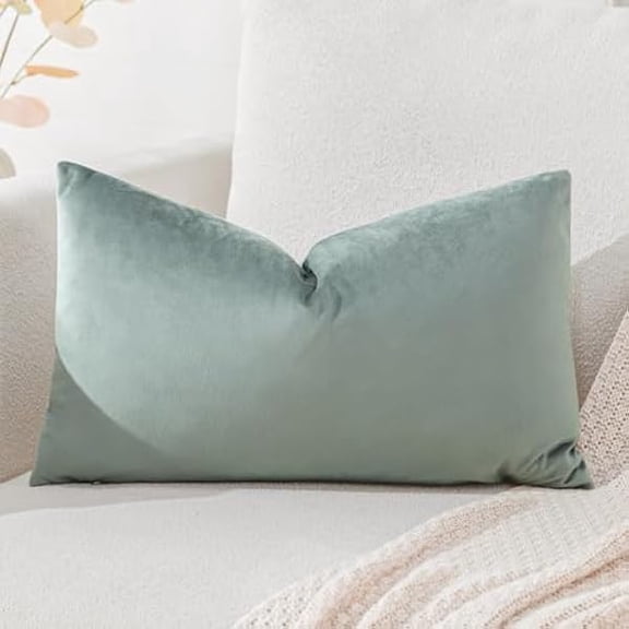Eryueer Luxury Velvet Cushion Covers Super Soft Decorative Throw Pillow Covers Case Lumbar Cushion Cases for Sofa Couch Bedroom Car Decor 30x50cm Light Gray