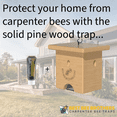 thumbnail image 3 of Best Bee Brothers Pine Turbo Trap - Outdoor, Professional Grade, Carpenter Bees Trap, 1 Count, 3 of 8