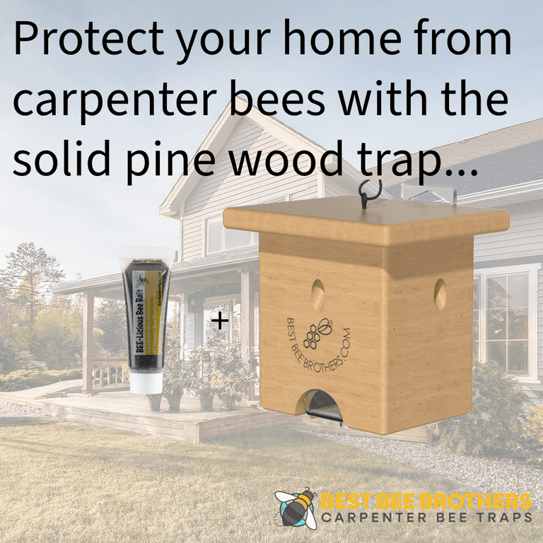 Best Bee Brothers Pine Turbo Trap - Outdoor, Professional Grade
