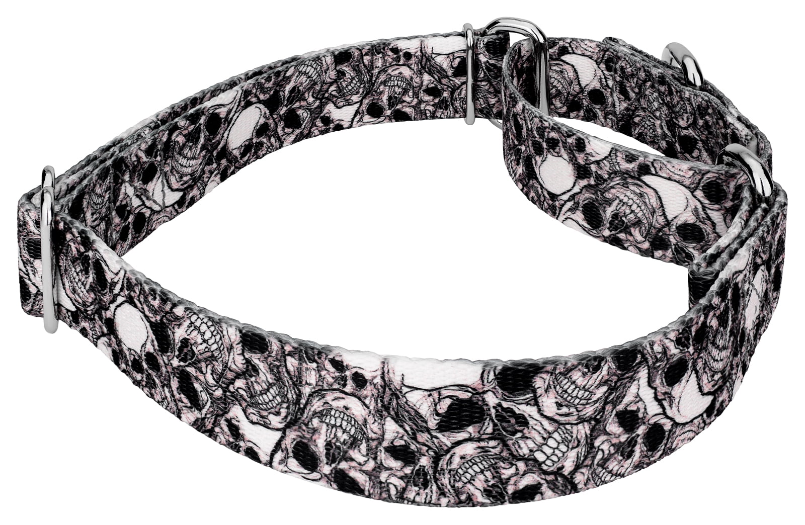 Country Brook Petz® Phantom Skulls Martingale Dog Collar and Leash, Medium
