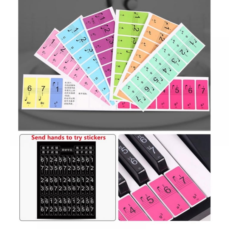 Colorful Piano Note Labels Removable Stickers Removable Piano Keyboard Stickers - Color-coded Note ...