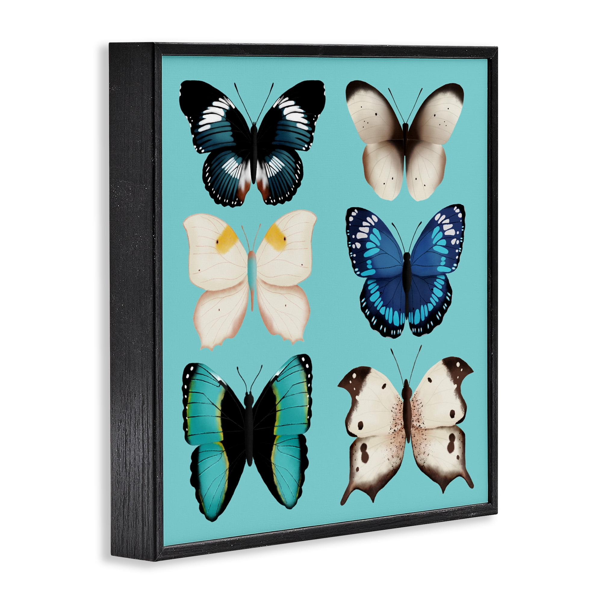 Stupell Industries Six Diverse Butterflies on Turquoise Black Framed Giclee Art, design by Metka Hiti