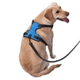 thumbnail image 2 of Fotbe Colorful Snake Arnés para Perro con Estampado –Chaleco Ajustable Acolchado con Asa de Control para Perros Grandes-Small, 2 of 6