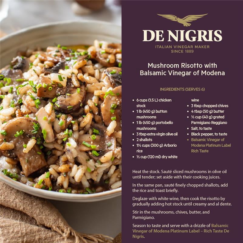 De Nigris Rich Flavor Balsamic Vinegar of Modena PGI, 8.5 oz