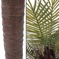 thumbnail image 5 of Pure Garden 78-inch Potted Robellini Palm Artificial Tree for Home Décor, 5 of 5