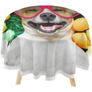 SKYSONIC Funny Easter Dog Eggs Round Tablecloth 60inch Indoor Wrinkle Free, Circular Lace Table Cover Washable for Kitchen Party BBQ Dining Decor