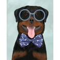 thumbnail image 2 of Fab Funky 12x14 White Modern Wood Framed Museum Art Print Titled - Rottweiler with Glasses and Bow Tie, 2 of 4
