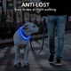 thumbnail image 4 of Collar De Perro Con Luz Led Recargable Usb Azul, 4 of 4