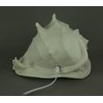 thumbnail image 3 of Zeckos White Faux Helmet Shell Decorative Coastal Art Accent Lamp, 3 of 4