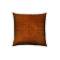thumbnail image 1 of Ahgly Company Indoor Square Traditional Throw Pillow, 18 inch by 18 inch, 1 of 6