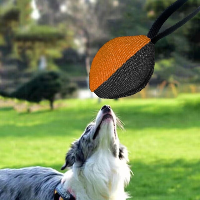 Pelota de tirar para perros, juguete ligero y resistente, interactivo, para morder, para jugar en solitario, para relajarse y disfrutar. Accesorios Negro Naranja