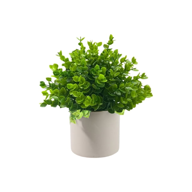 Artificial Potted Plants Set of 5, 6.7 Inch Small Fake Succulents in Matte Pots, Real Touch Plastic Greenery for Home Office Desk Decor, Bathroom, Kitchen, Shelf, Easy Ca
