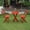 Multi-color, variant on Hampton 3-Piece Patio Bistro Set
