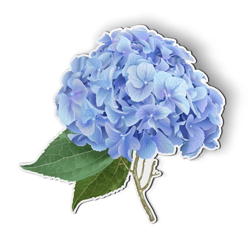 Hydrangea Blue Flower - 5" Magnet for Car Locker Refrigerator