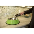thumbnail image 3 of Iconic Pet 2-Pack Color Splash Stripe Non-Skid Pet Bowl, For Dog or Cat, Green, 16 Oz, 2 Cup, 3 of 12