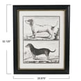 thumbnail image 2 of Creative Co-Op Vintage Reproduction Dog Print with Wood Frame, 2 of 6