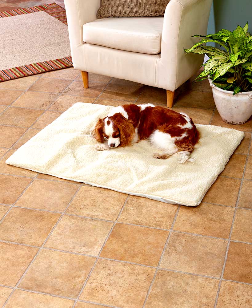SelfWarming Pet Blanket Large
