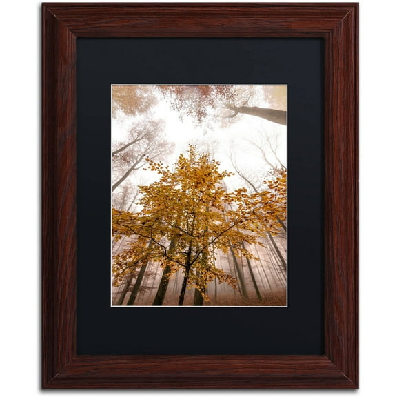 Trademark Fine Art "Foggy Days" Canvas Art by Philippe Sainte-Laudy Black Matte, Wood Frame