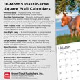 thumbnail image 6 of Donkeys | 2026 12x24" (Hanging) Square Wall Calendar | Plastic-Free, 6 of 9