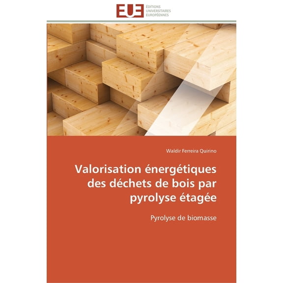 Omn.Univ.Europ.: Valorisation énergétiques des déchets de bois par pyrolyse étagée (Paperback)