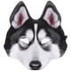 thumbnail image 1 of Máscara de cabeza de perro, divertidas máscaras de animales, disfraz de Halloween, máscaras realistas de cabeza completa para fiestas de disfraces de cosplay, máscaras de lobo para entusiastas., 1 of 7
