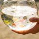 thumbnail image 4 of UPGRATOR De Acuario Redonda Transparente Con Ajuste Perfecto Para, 4 of 8