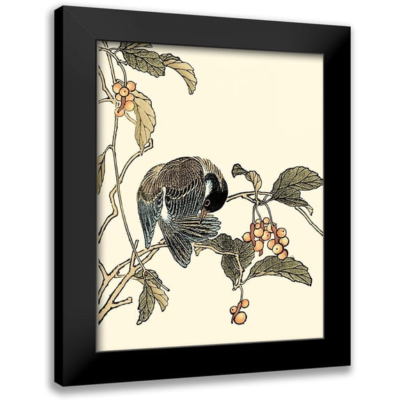 Vision Studio 12x14 Black Modern Framed Museum Art Print Titled - Oriental Bird on Branch IV