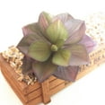 thumbnail image 7 of 1Pc Artificial Flower Succulent Plant DIY Garden Office Home Party Desk Decor, 7 of 7