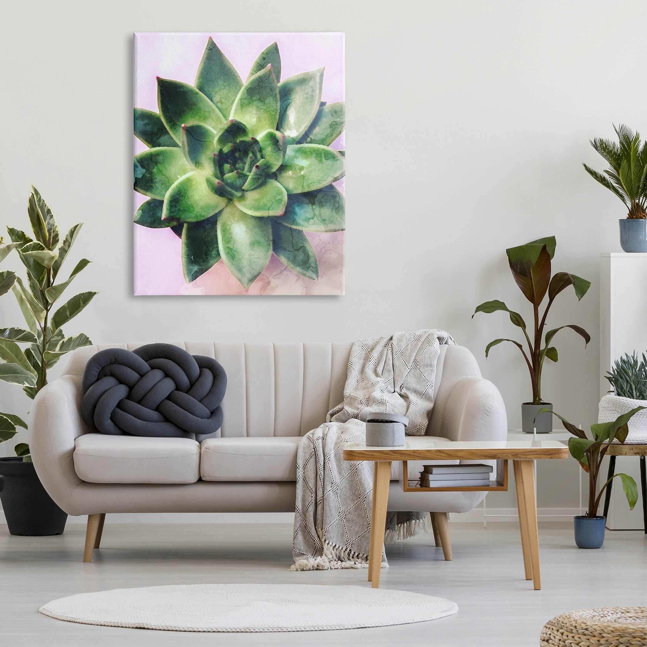 Round Succulent Plant Leaves Botanical & Floral Graphic Art Gallery Wrapped Canvas Print Wall Art