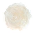 thumbnail image 6 of K-Cliffs Ruffled Rose Decorative Pillow Throw Deluxe Flower Shape Chiffon Couch Bed Sofa Cushion Round 16", Champagne, 6 of 6