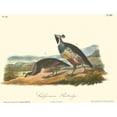 thumbnail image 2 of Audubon, John James 32x25 Gold Ornate Wood Framed with Double Matting Museum Art Print Titled - California Partridge, 2 of 4
