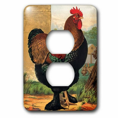 Rooster Outlet Cover - 3dRose Vintage Partridge Cochin Rooster, Dark Green and Brown, 2 Plug Outlet Cover