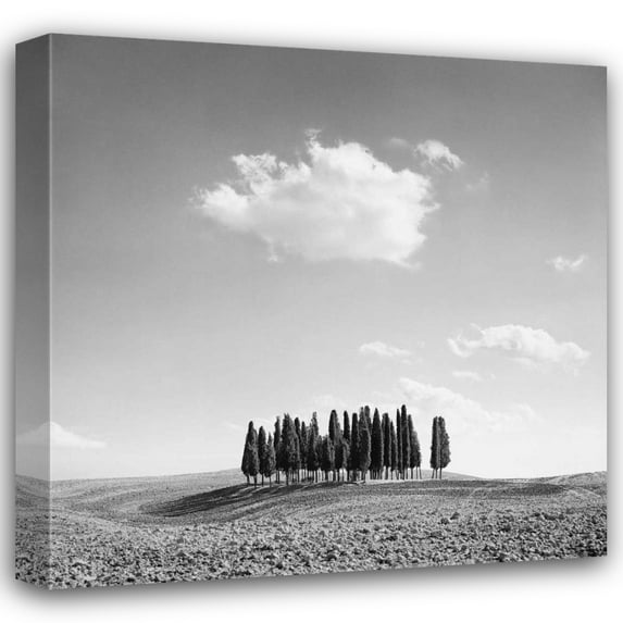 Jean Miele 26x26 Gallery Wrapped Canvas Wall Art Titled - Cypress Trees