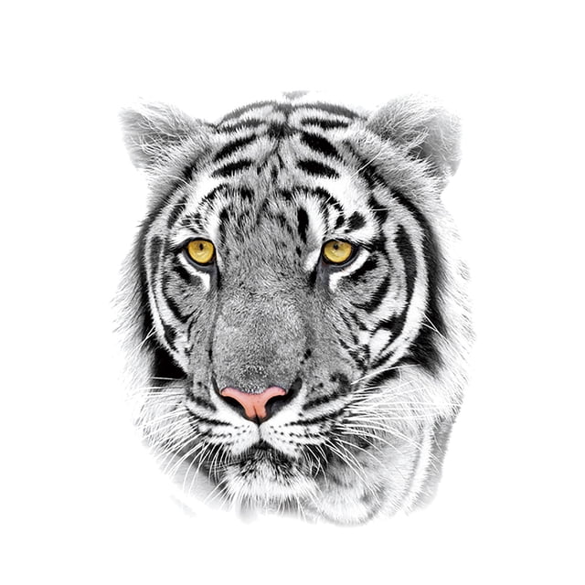 Pegatinas de tatuajes, tatuajes temporales para hombres, mujeres, adultos, hombres y mujeres, tatuajes temporales en el brazo, tatuajes falsos, pasta de tatuajes calientes.