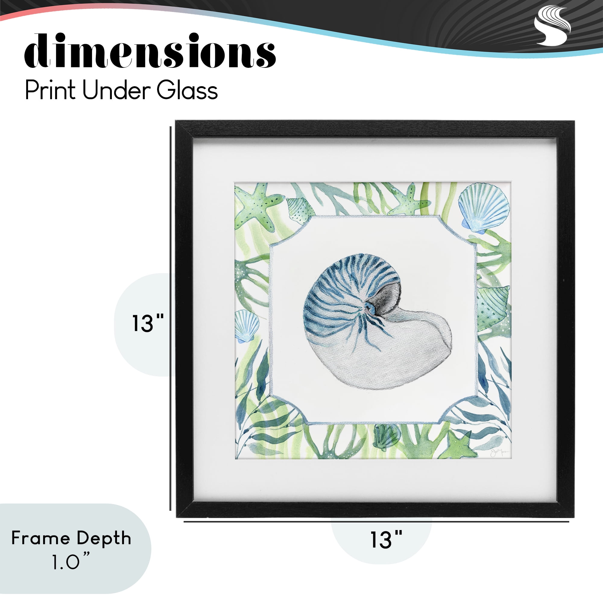 Stupell Industries Seaweed & Seashells Aquatic Black Framed Print Under Glass, design by Janet Tava