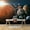 UNIVERSE-1908-N03, variant on IDEA4WALL 4pcs Planets of Solar System Peel and Stick Wallpaper Removable Wall Murals Large Wall Stickers for Home Decoration, 66"x24"