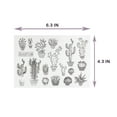 thumbnail image 2 of Craft County 6.3'' x 4.3'' Cactus Clear Silicone Stamp Set, 2 of 3