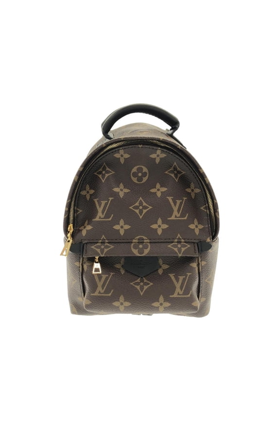 Pre-Owned Louis Vuitton Monogram Palm Springs Backpack Mini M44873