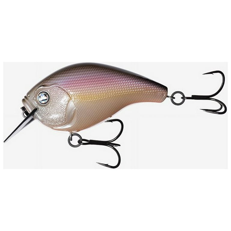 13 Fishing Scamp Square Bill Crankbait 1/2Oz Airfoil Carbon B Sports and  Outdoor E-SC15-PN