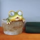 thumbnail image 4 of Maceta de Resina para Suculentas, Maceta de Escritorio, Bonsái con Animales Simulados y Luz Solar, Ideal para Decoración Del Hogar, Jardín, Oficina o Mesa., 4 of 7
