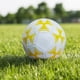 thumbnail image 5 of Toystoory Balón de fútbol profesional de tamaño 5 con retención de aire confiable balón de fútbol oficial de fútbol Deportes y aire libre blanco y azul, 5 of 6