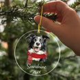 thumbnail image 5 of Personalized Border Collie Dog Christmas Ornament 2025, Border Collie Keepsake Xmas Ornaments Gift for Men Women, Customized Border Collie Ornaments with Name, Border Collie Ornament Xmas Tree Decor, 5 of 6