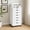 White, variant on Kelno Rolling File Cabinet Under Desk Lateral Filing Storage Organizer with Lockable Casters Mobile Printer Stand, Black
