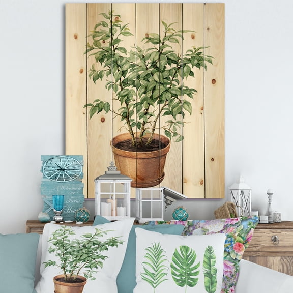 Designart 'Ficus Benjamina Plant In Clay Flowerpot' Traditional Print on Natural Pine Wood